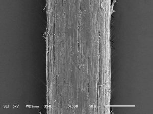 サロンでトリートメントしたって、髪が良くなるわけではないですよ‼️