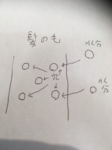 トップの髪のボリュームがなくなってしまう3つの理由と解決策！