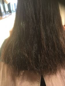 髪は素直〜正しい事を続ければ必ず髪は改善される〜