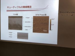 薬剤の事をきちんと把握している美容師はわずか2%!?
