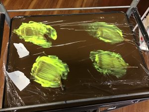 アカデミー通信vo28〜モデルカラーからのベーシックカット〜