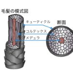 トリートメントは髪の「どこに効かせるか」が大事！